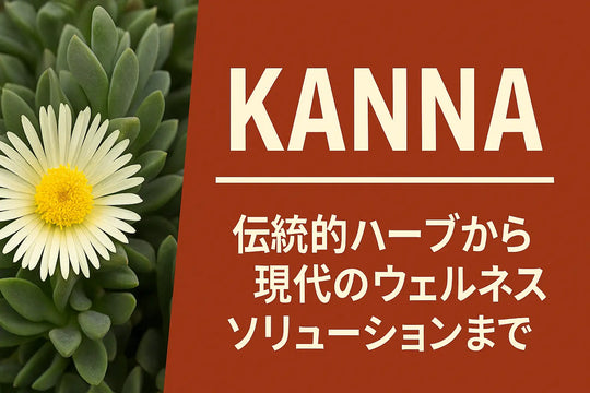 【研究者監修】カンナとは?〜伝統的リラックスから現代のウェルネスソリューションまで〜