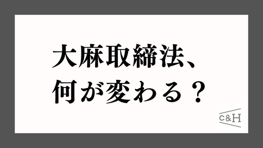大麻取締法、何が変わる?医療用大麻との関連は?改正の内容や背景、時期をくわしく