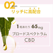 CBD グミ 60粒 果汁 100% （65mg/1粒) ブロードスペクトラムCBD配合 LILILALA