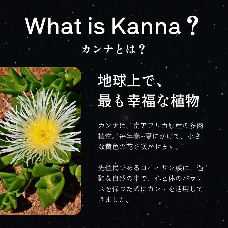 【太陽】RICHILL NEO カンナ7%