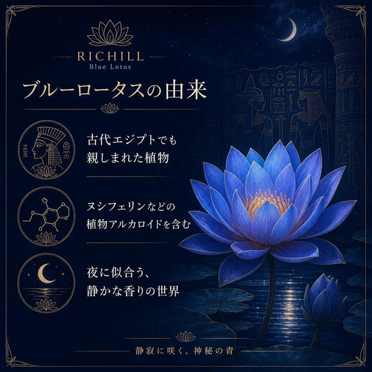真夜中の睡蓮 | RICHILL Blue Lotus オリジナルフレーバー Pod