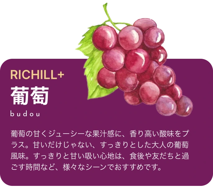 RICHILL+ 葡萄